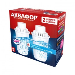 Сменный модуль В5 (В100-5) защита от бактерий (комплект из 2-х штук) в Каменске-Уральском